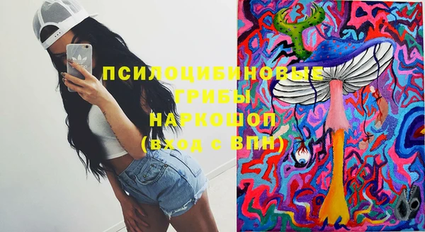 молекула духа Лагань